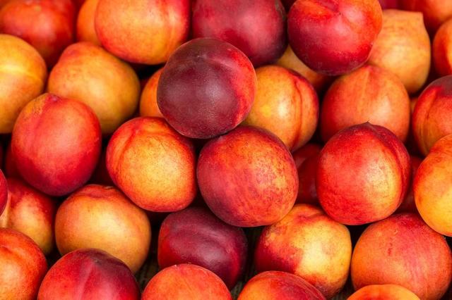 Fresh Nectapie Nectarines - Shop Peaches, Plums & Apricots at H-E-B