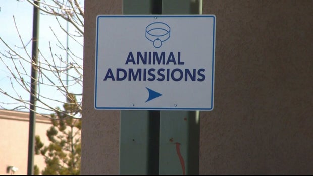 PUEBLO SHELTER SHUTDOWN 10PKG_frame_963