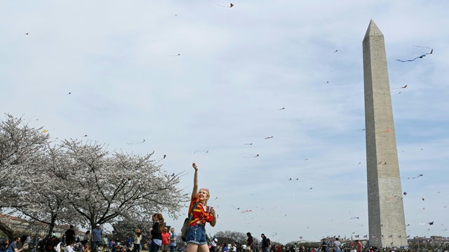 gettyimages-1133879493.jpg 