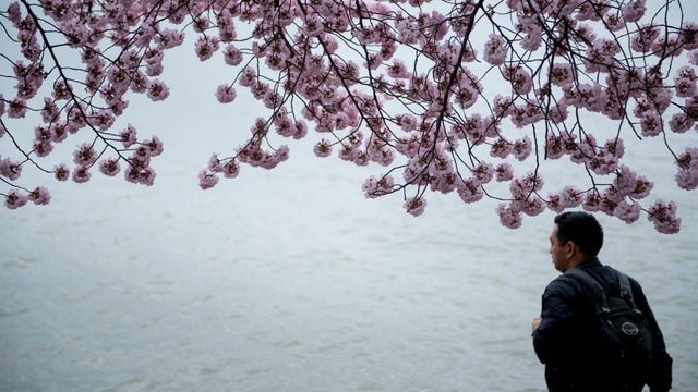 gettyimages-1134134965.jpg 
