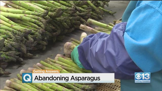 asparagus-problems.jpg 