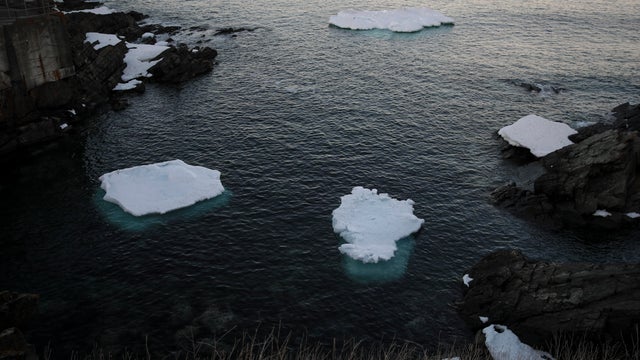 Icebergs Off Coast Of Canada's Newfoundland Draw Tourists To Area 
