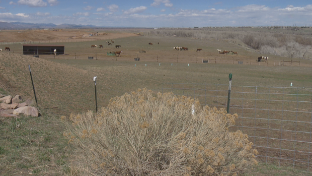 TIRE CLEANUP 5PKG.transfer_frame_210 