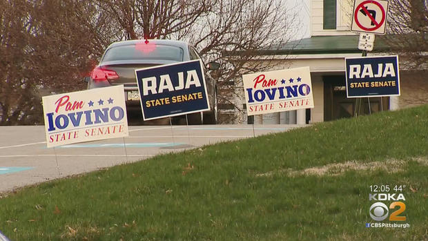 raja-iovino-campaign-signs 