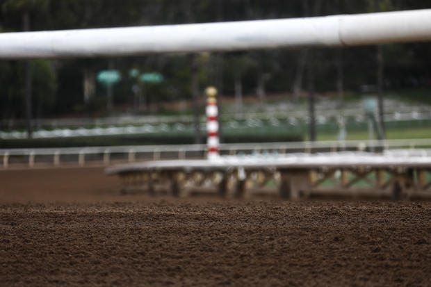 Santa Anita Park Track Cancels Races As Over 20 Horses Have Died There In Under Three Months 