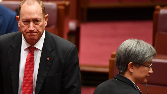 Shadow Minister for Foreign Affairs Penny Wong during a censure motion against Independent Senator Fraser Anning in the Senate chamber at Parliament House in Canberra 