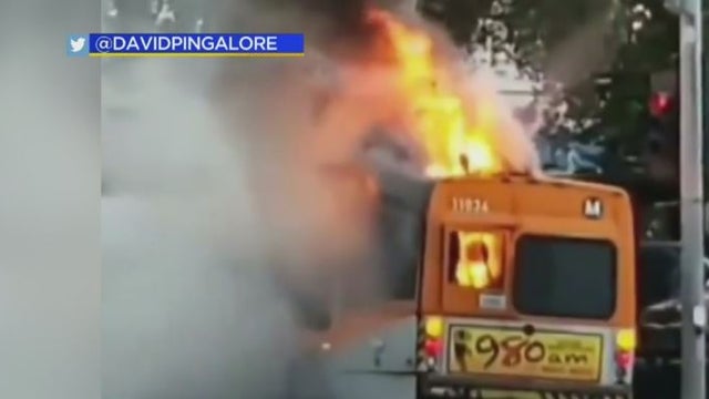 bus.jpg 