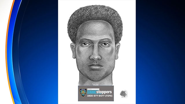 prospet-park-women-attacked-nypd-sketch.jpg 
