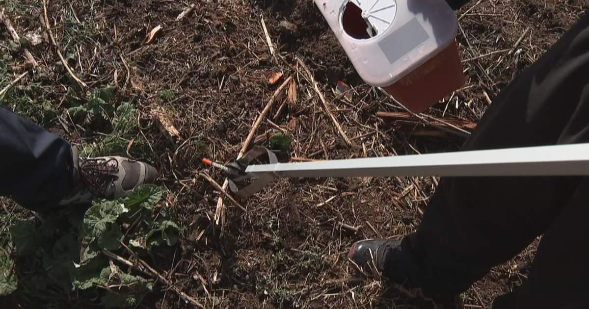 'You're Going To Get Hit By A Syringe' Hundreds Take To Kensington To