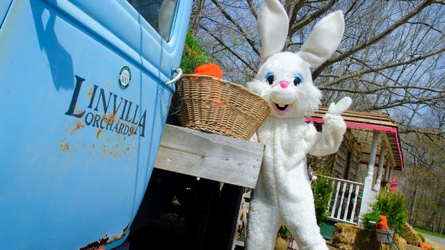 linvilla-orchards.jpg 