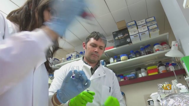 gene-therapy-research.jpg 