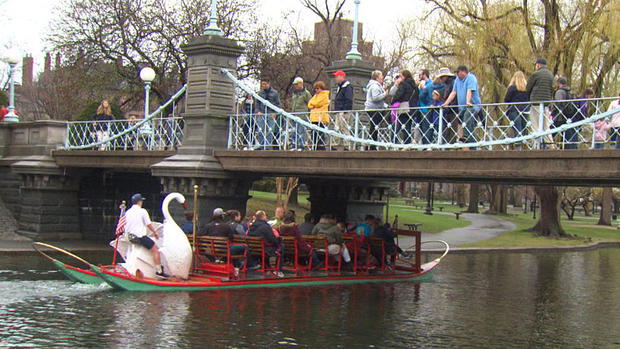swanboats 