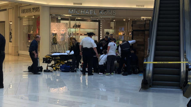 Mall of America Attack 