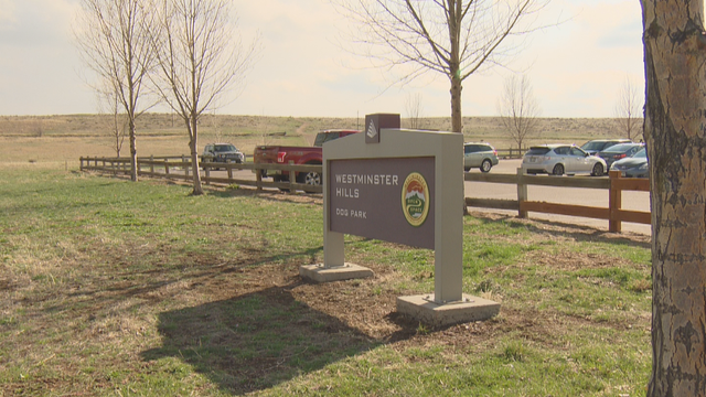 RATTLESNAKE BITE VICTIM 10PKG.transfer_frame_1047 