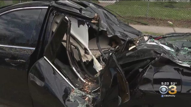 tree-smashes-car-pennsauken.jpg 