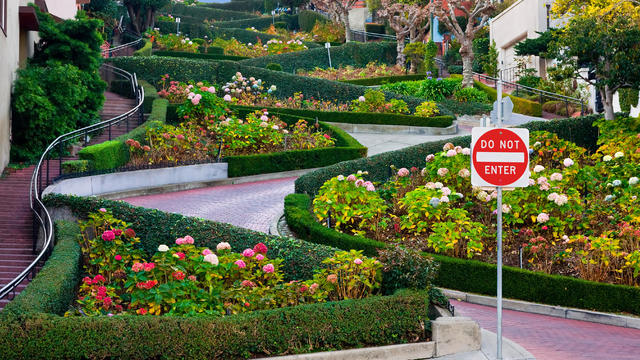 Lombard Street in San Francisco 