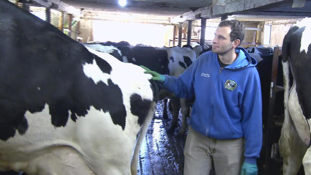 0416-en-farmerstruggles-reynolds-1830721-640x360.jpg 