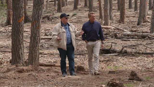 cbsn-fusion-unlikely-allies-unite-to-save-national-forests-in-arizona-common-ground-thumbnail-1831534-640x360.jpg 