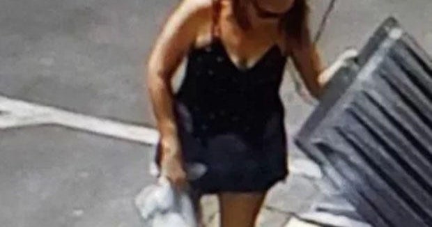 Coachella woman sentenced to jail for dumping puppies in the trash ...