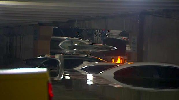 Dallas Love Field flooded cars 1 