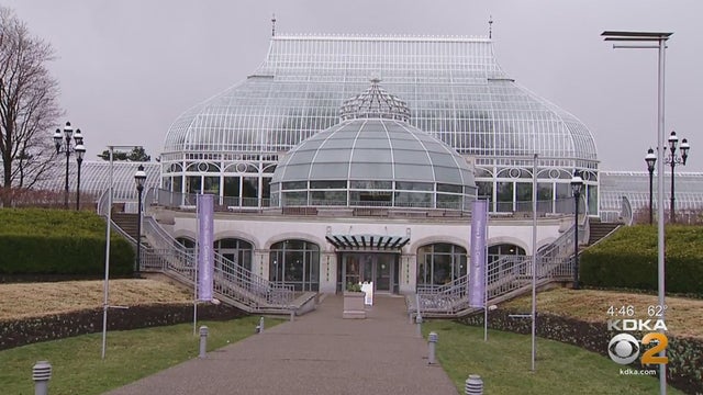 phipps.jpg 