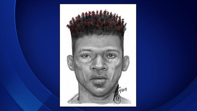 attempted-kidnapping-sketch.jpg 