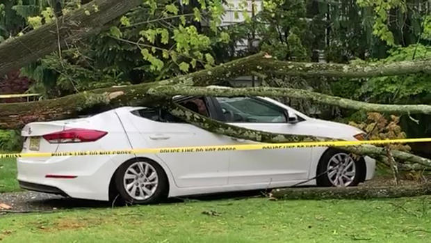 Tree Falls On House, Car In Garwood 