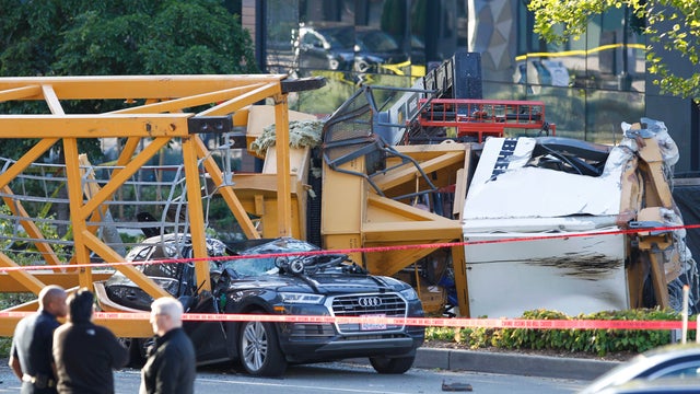 Seattle Crane Collapse 