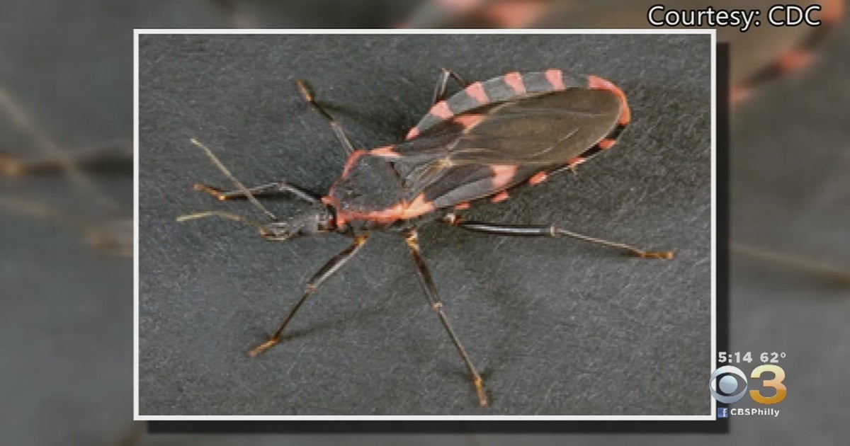 DiseaseCarrying 'Kissing Bug' Has Made Its Way North, Including