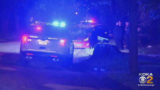 penn-hills-eastwood-road-shooting.jpg 