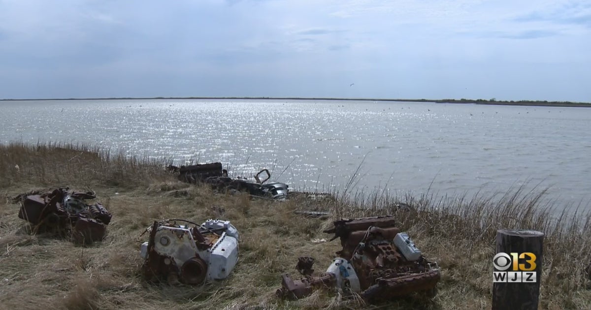 Is Smith Island Sinking? Army Corp. Of Engineers' MultiMillion Dollar