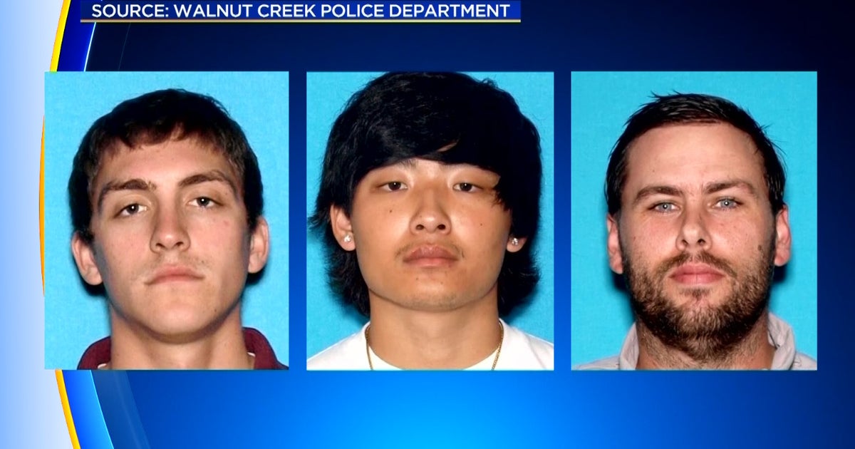 4 Hurt, 3 Arrested Following Road Rage Fight in Walnut Creek - CBS San ...