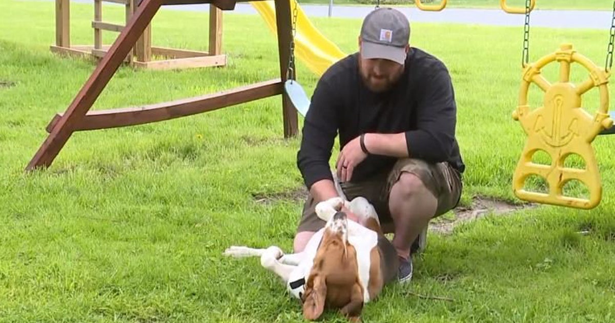 Family Credits Dog For Rescuing Children From Possible Kidnapping CBS