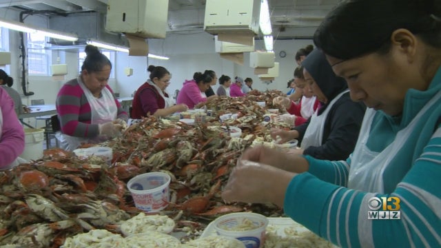 maryland-crab-picking-houses.jpg 