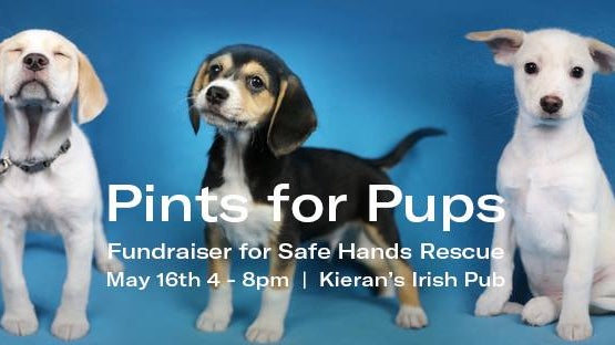 pints-for-pups.jpg 
