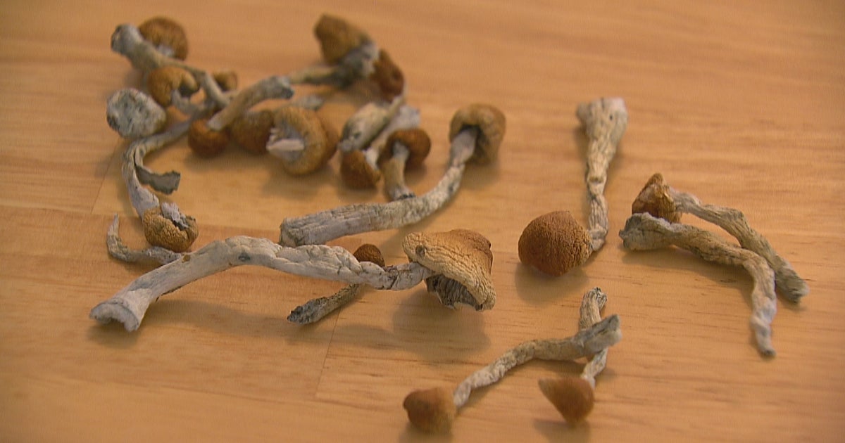 Psychedelic Mushroom Supporters Hope To Educate Public After