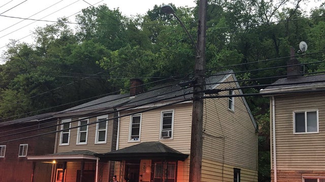 ohara-township-landslide-tree.jpg 
