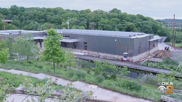 phipps-green-building.jpg 