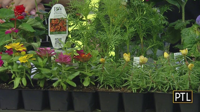 ptl-gardening.jpg 