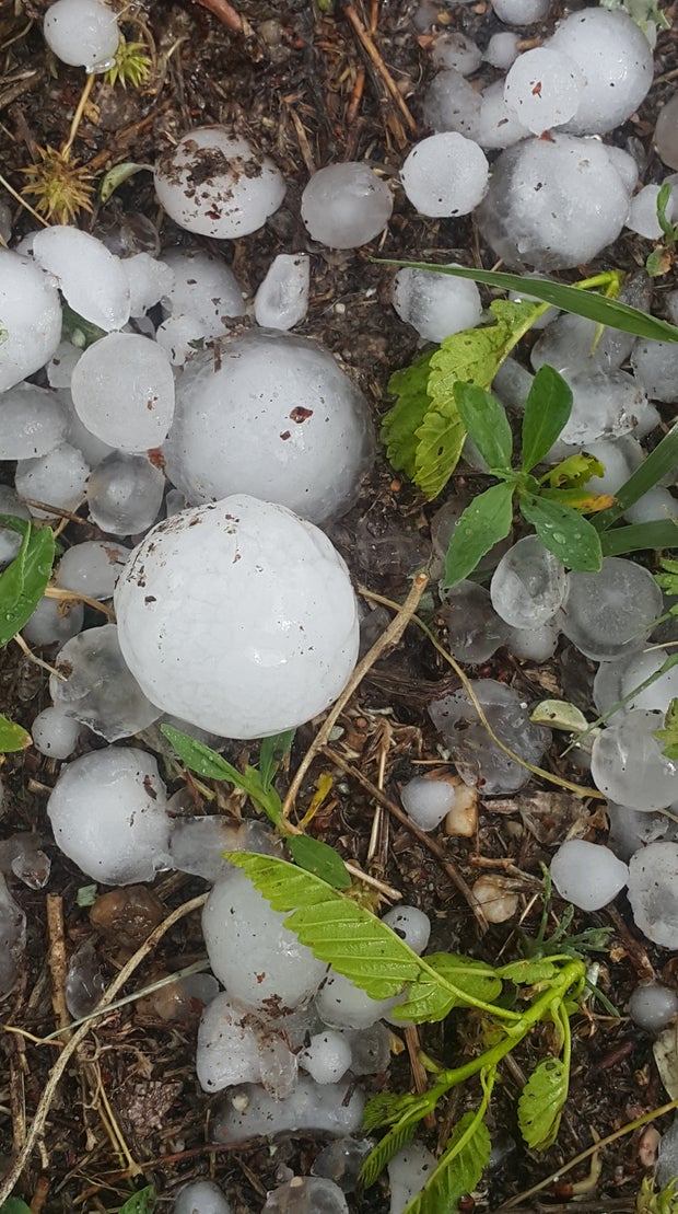 Hail In Sterling 