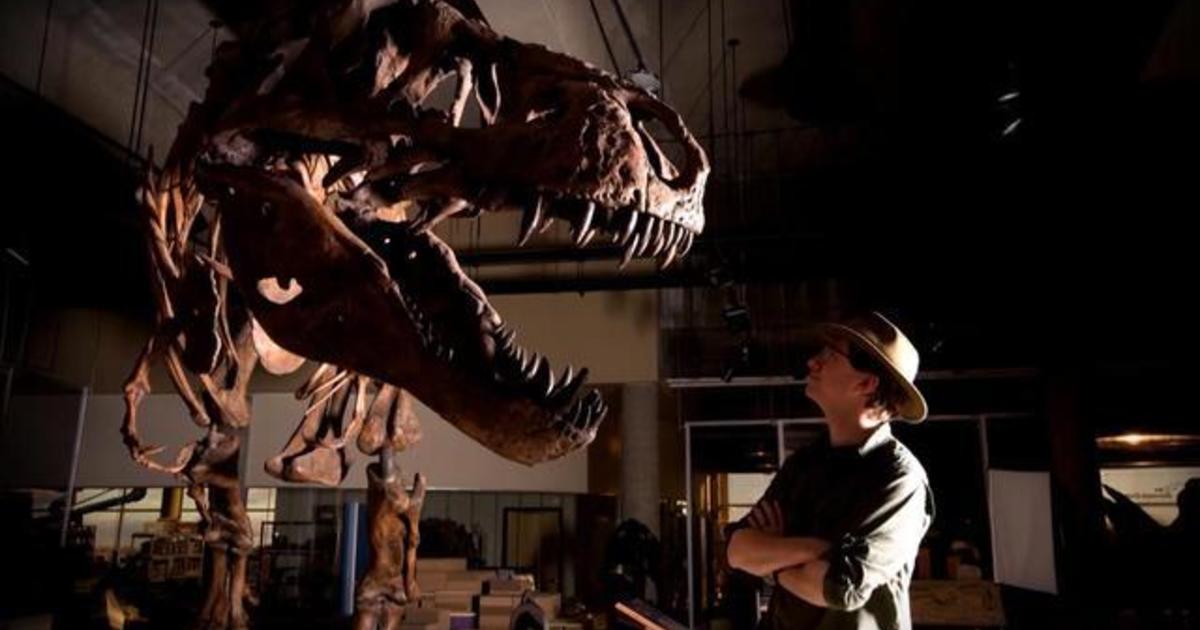 largest t rex ever