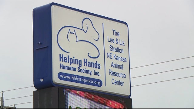 CATS ROAD TRIP 5PKG_frame_985