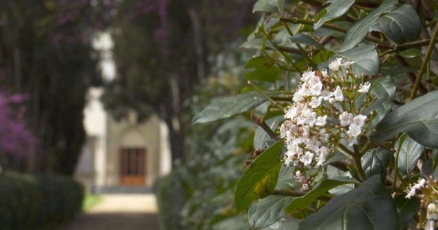 Nature: Tuscan countryside
