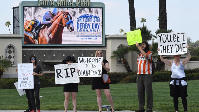 Santa Anita Racetrack 2019 