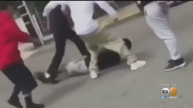 fight.jpg 