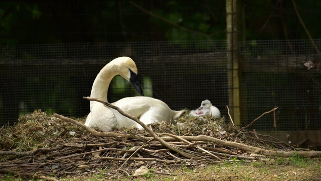 dsc_1335.jpg 