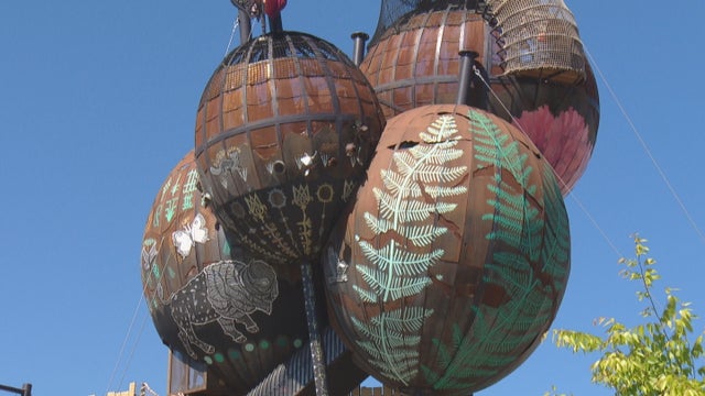 ADVENTURE FOREST 5PKG_frame_0 