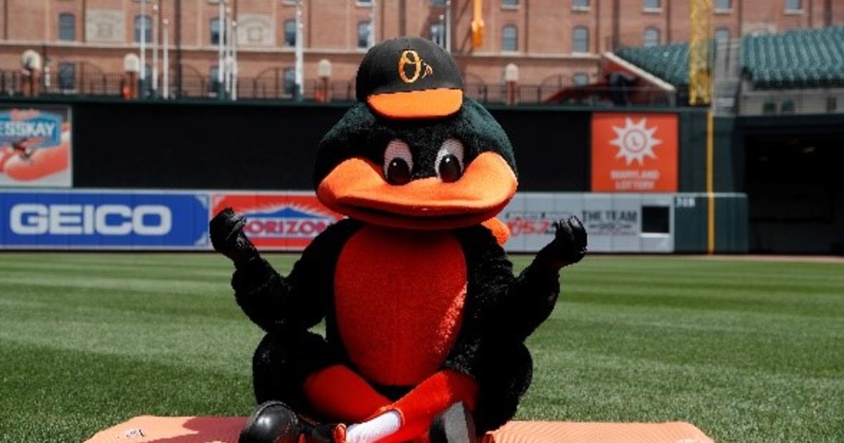 The Oriole Bird Baltimore Orioles 2023 City Connect Mascot