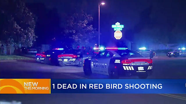 driver-shot-in-red-bird-area.jpg 