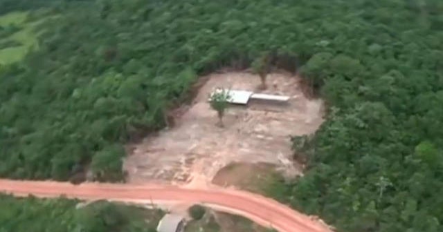 Report: Deforestation up 20% in the Amazon in last 9 months - CBS News